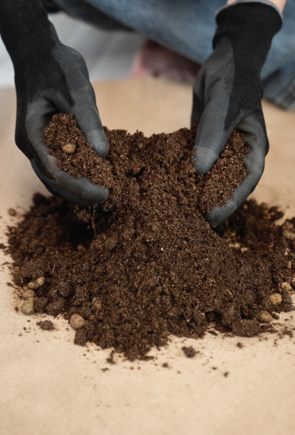 soilcarta
